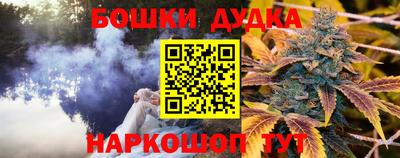 спиды Моздок
